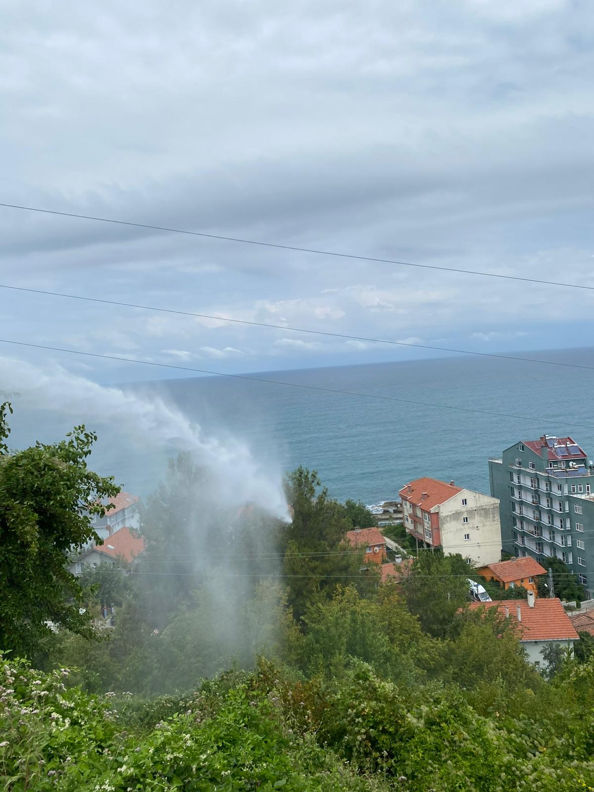 Kastamonu'nun İlçesinde Arazi Yangını Çıktı4
