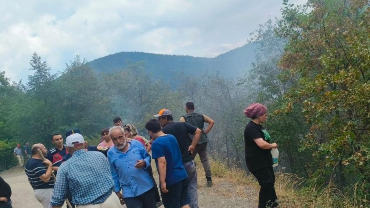 Kastamonu’nun Ilçesinde Orman Yangını Paniği Erken Ihbar Büyük Tehlikeyi Önledi (1)
