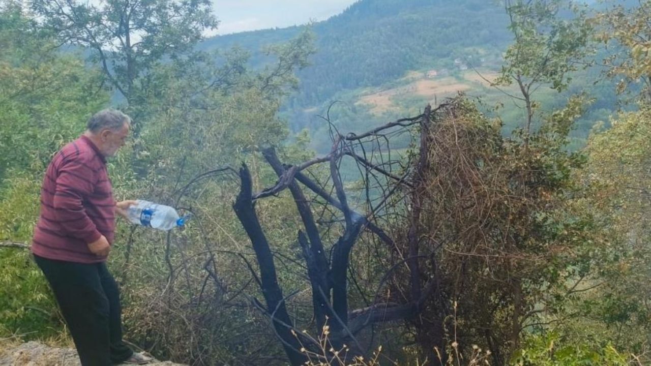 Kastamonu’nun Ilçesinde Orman Yangını Paniği Erken Ihbar Büyük Tehlikeyi Önledi (2)