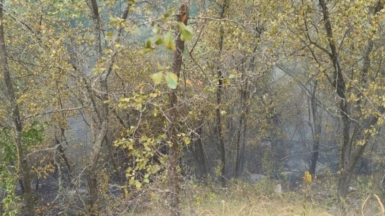 Kastamonu’nun Ilçesinde Orman Yangını Paniği Erken Ihbar Büyük Tehlikeyi Önledi (3)