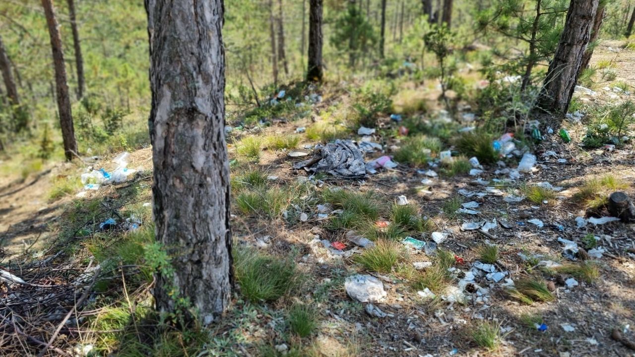 Kastamonu’nun İstiklal Yolu Çöplüğe Döndü Tehlike Kapıda (2)