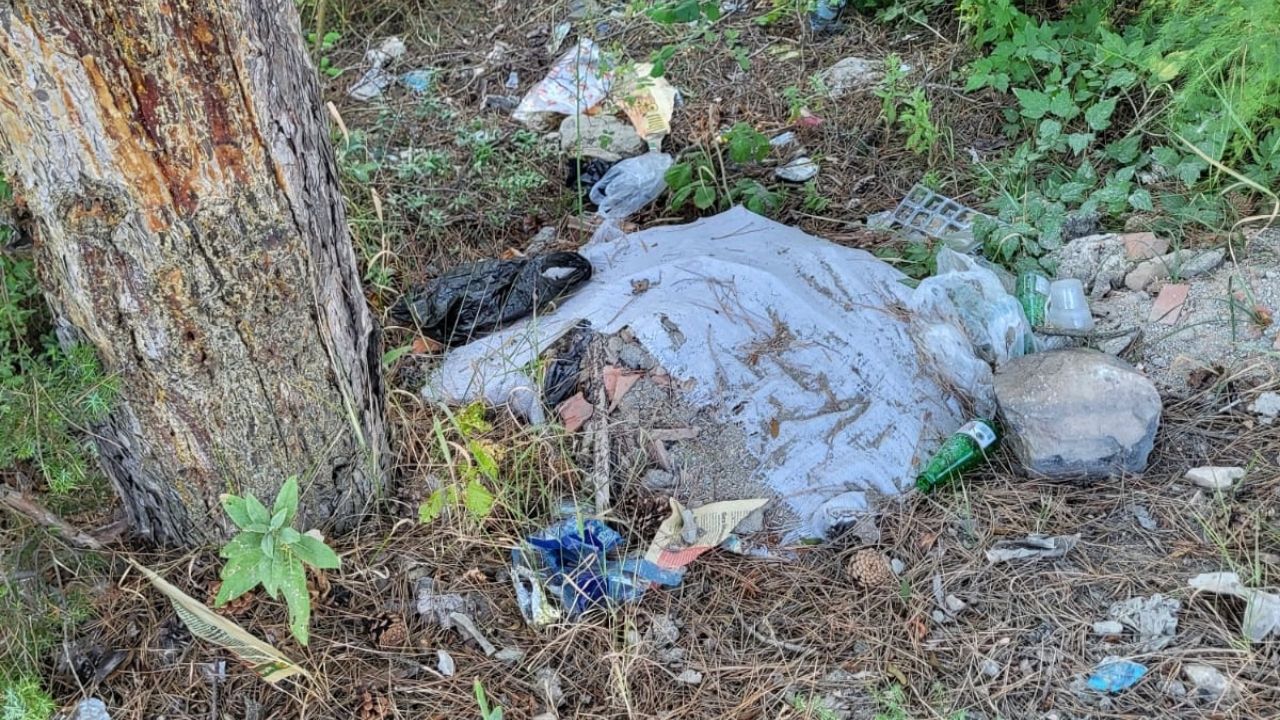 Kastamonu’nun İstiklal Yolu Çöplüğe Döndü Tehlike Kapıda (5)