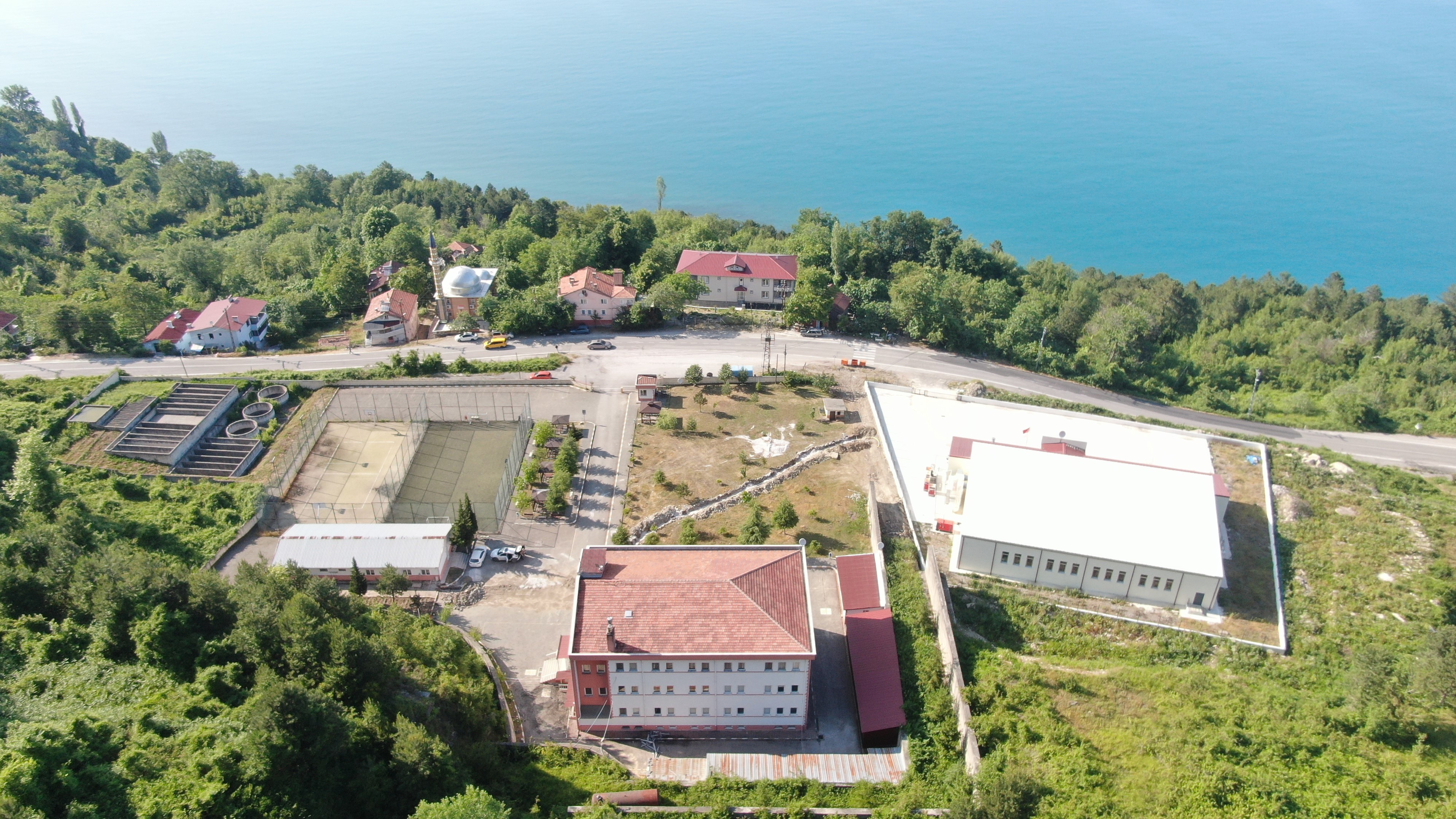 Kastamonu'ya Rusya'dan Geldi Alerjisi Olanları Bu Aylarda Etkiliyor! 1