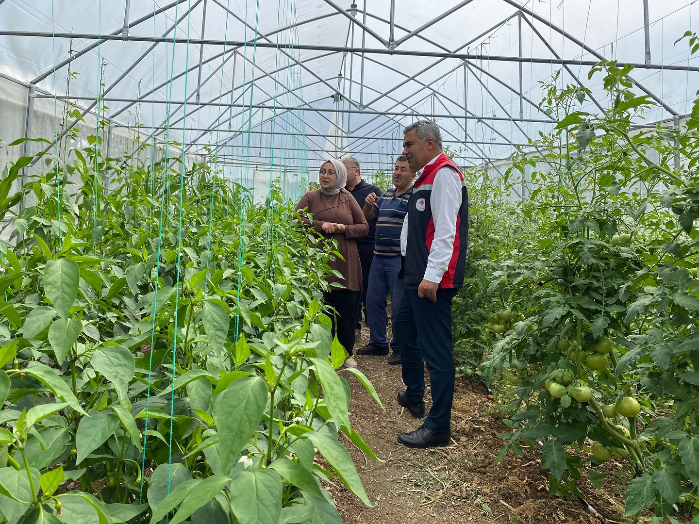 Kırsalda Gelir Kaynağı Artıyor Kastamonu'daki Serada Incelemelerde Bulundu! 3