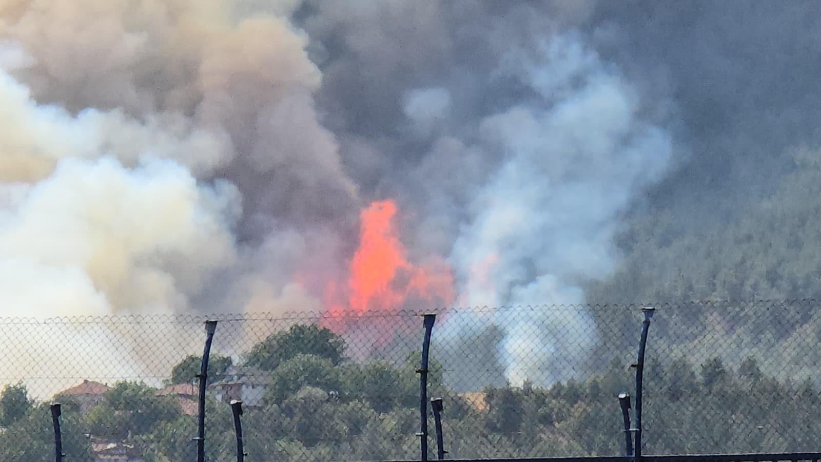 Komşu Ildeki Feci Orman Yangınına 3 Helikopter 161 Personel Müdahale Ediyor! 2
