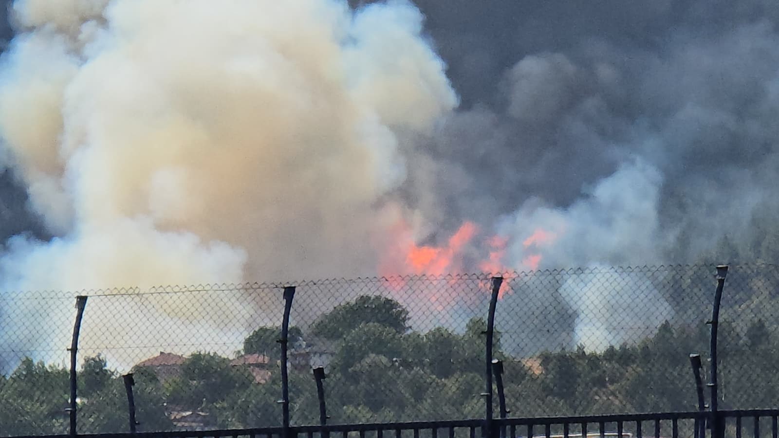 Komşu Ildeki Feci Orman Yangınına 3 Helikopter 161 Personel Müdahale Ediyor! 3