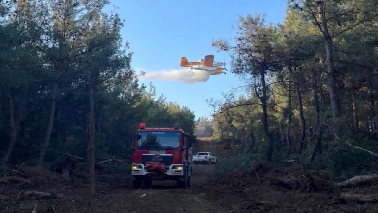Orman Yangını Karaca (1)