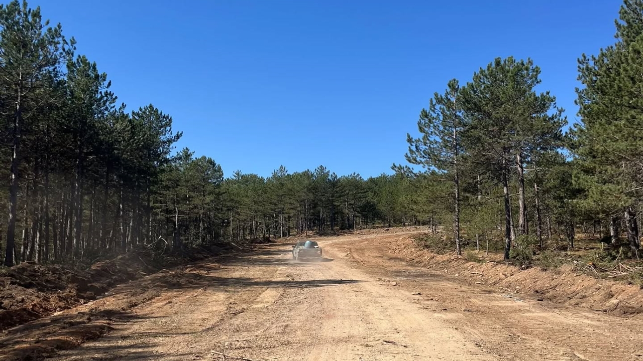 Orman Yolu (1)