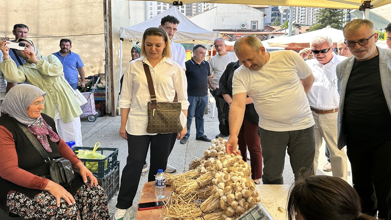 Pazar Gezmesi Kastamonu (7)