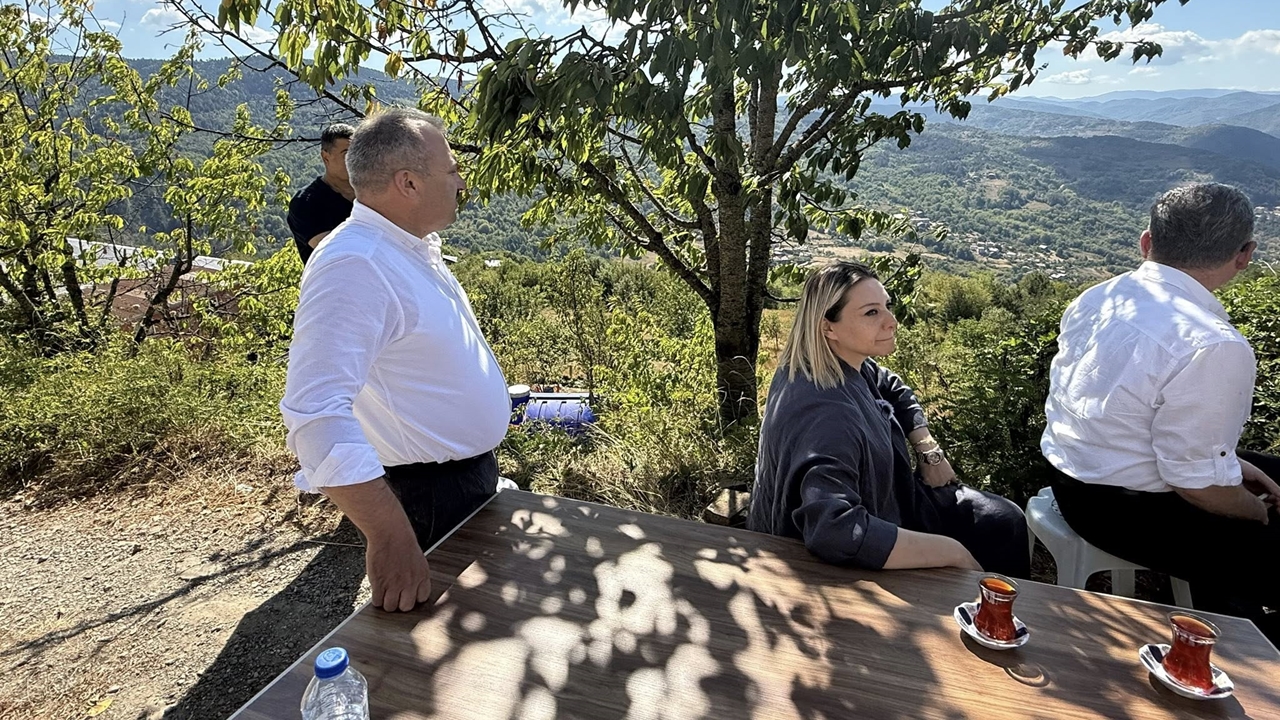 Pınarbaşı Asfalt Yol (2)