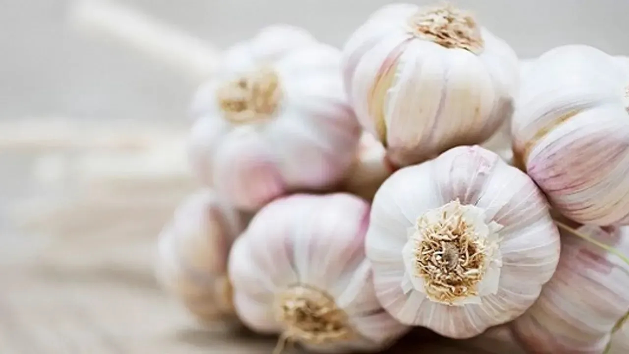 Sarımsak Taşköprü