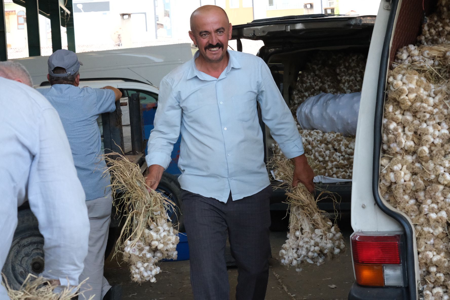Sarımsak7