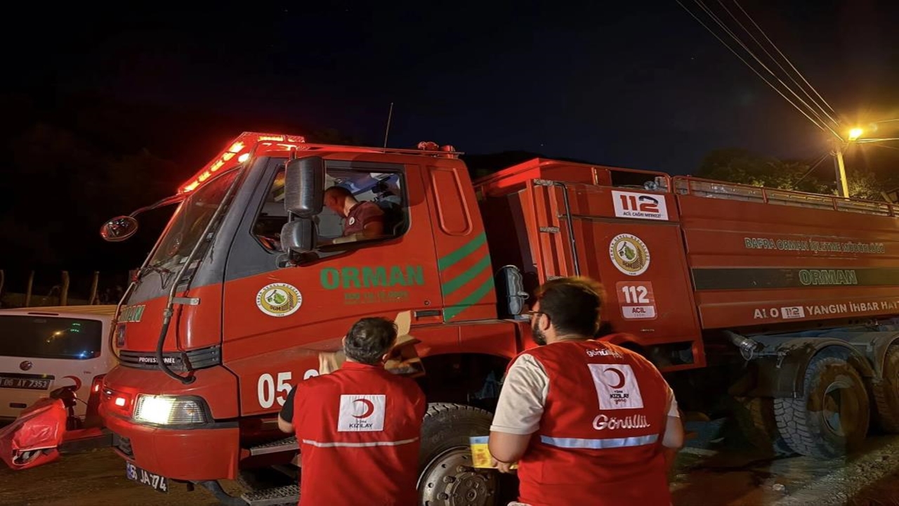 Sinop Orman Yangını (2)