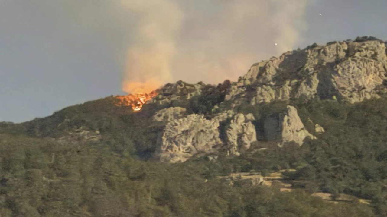 Sinop Orman Yangını (3)