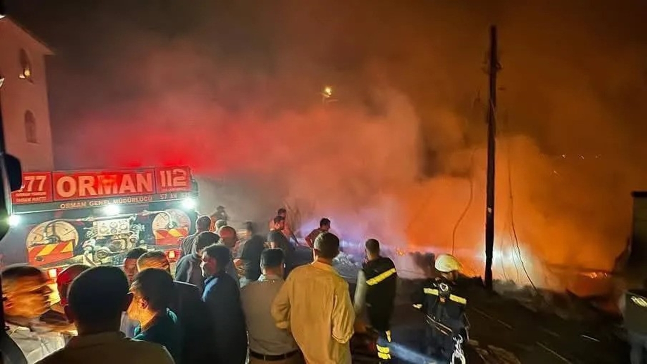 Sinop Orman Yangını (4)