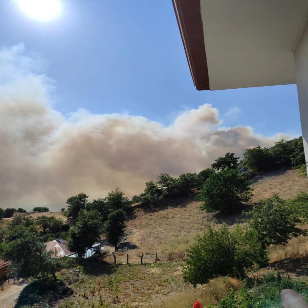 Sinop Orman Yangını Vali Çağrı (1)