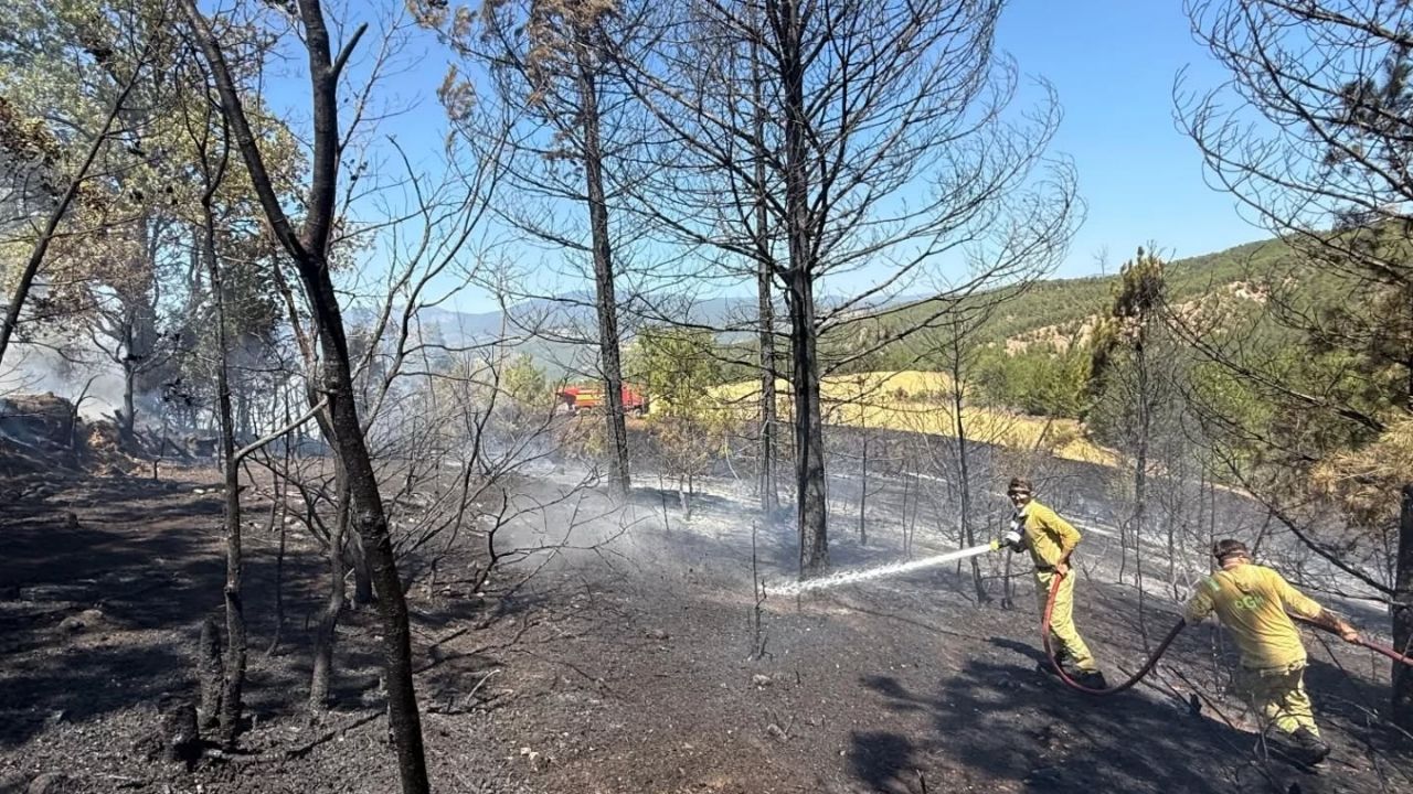 Son Dakika Kastamonu’da Orman Yangını Paniği Ekiplerin Zamanında Müdahalesi Hayat Kurtardı (3)