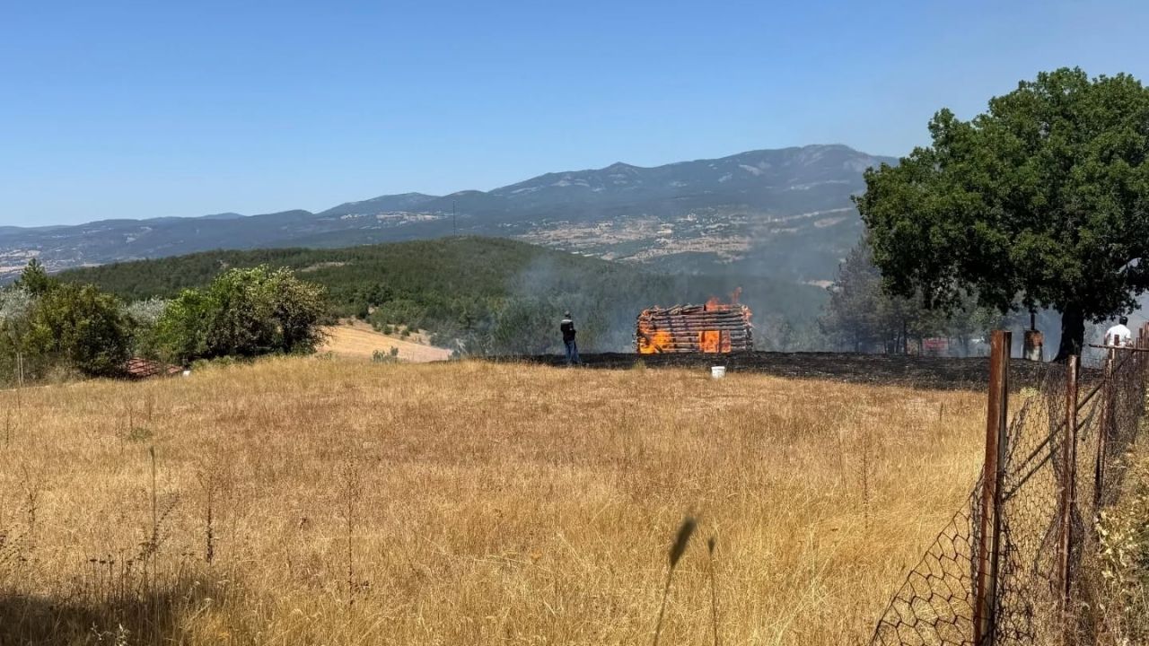 Son Dakika Kastamonu’da Orman Yangını Paniği Ekiplerin Zamanında Müdahalesi Hayat Kurtardı (6)