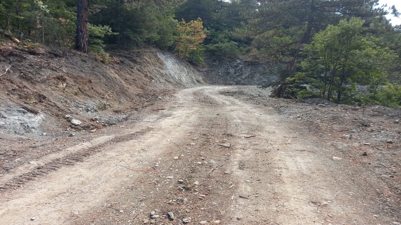 Taşköprü Orman (1)-2