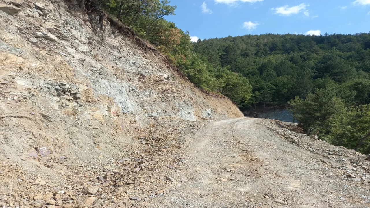 Taşköprü Orman (2)-1