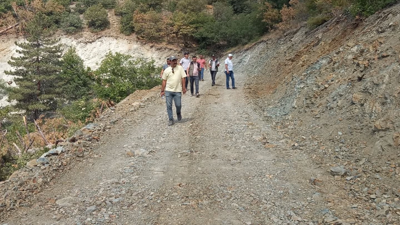 Taşköprü Orman (4)