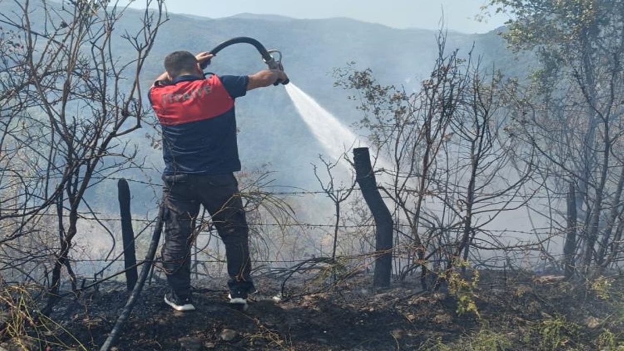 Türkeli Orman Yangın (2)