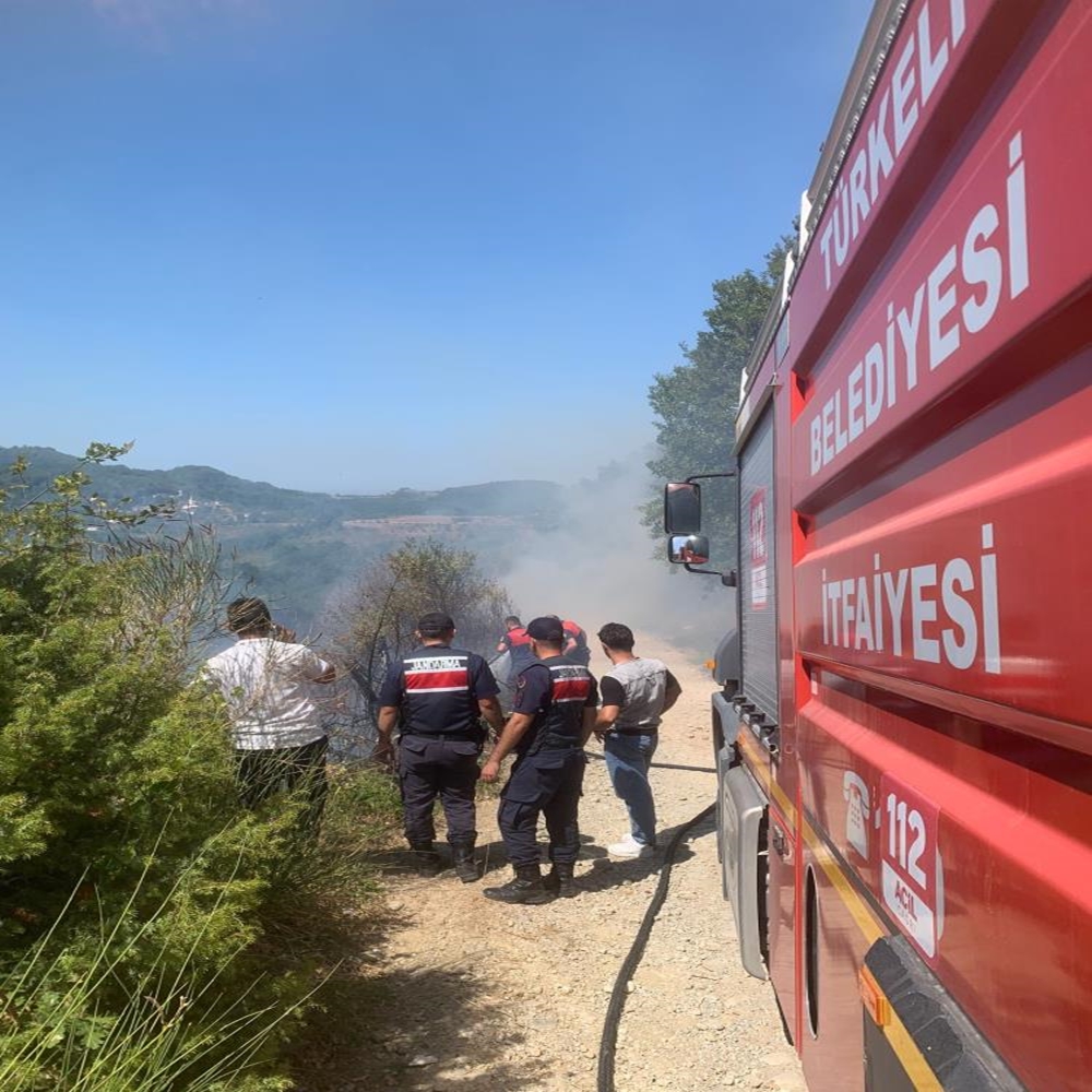 Türkeli Orman Yangın (3)