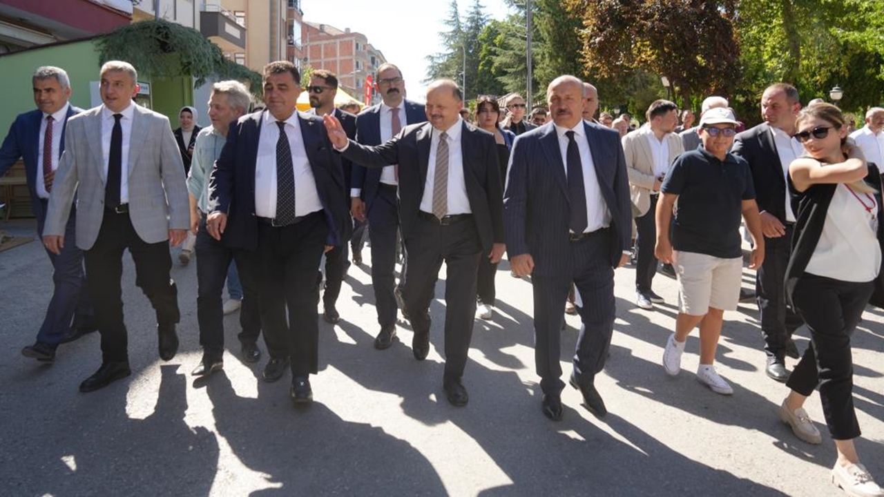 Vali Dallı Taşköprü (1)