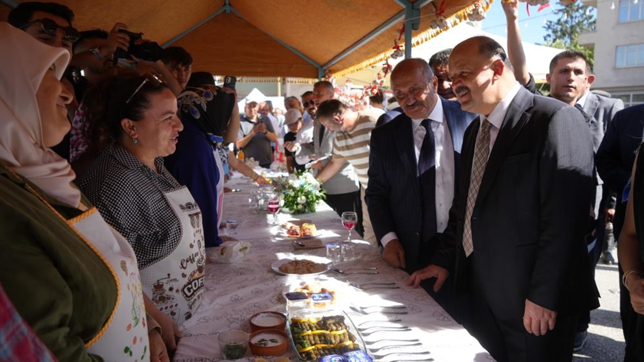 Vali Dallı Taşköprü (2)