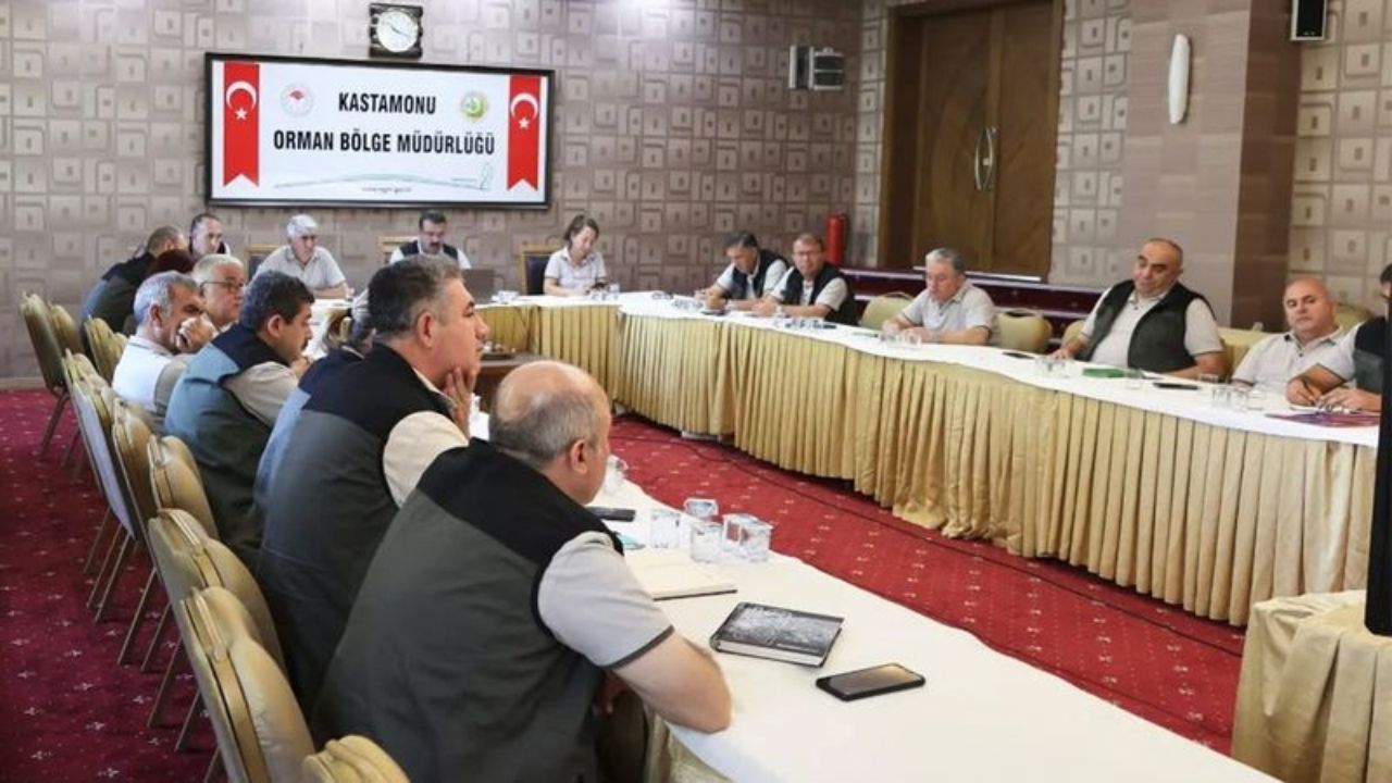 Yangına Karşı Kastamonu’da Alarm Genel Müdür’den Canlı Bağlantıyla Uyarı (3)