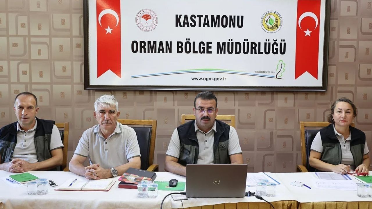 Yangına Karşı Kastamonu’da Alarm Genel Müdür’den Canlı Bağlantıyla Uyarı (4)