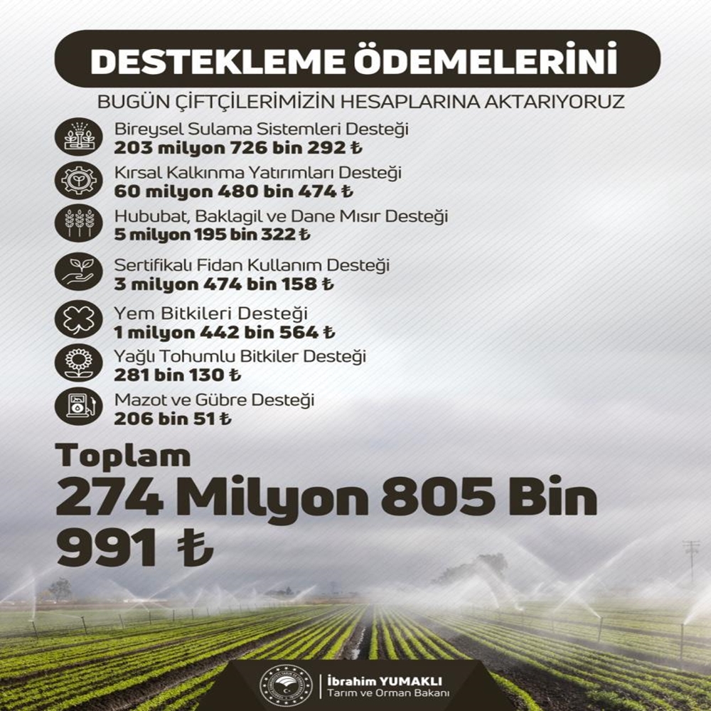 A W536983 01