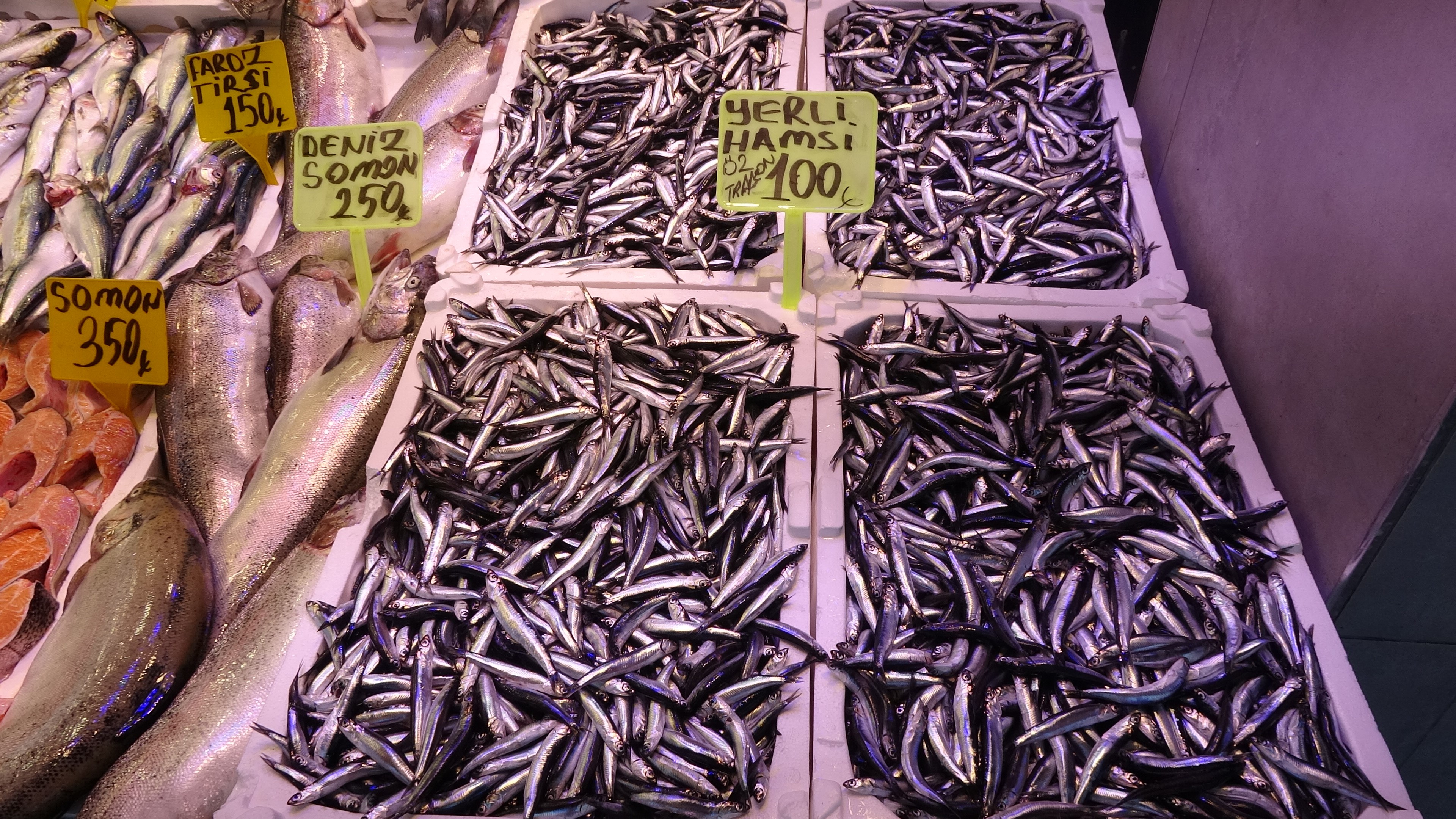 Balık Avı Bollaştı, Hamsi 100 Tl'ye Kadar Düştü 1
