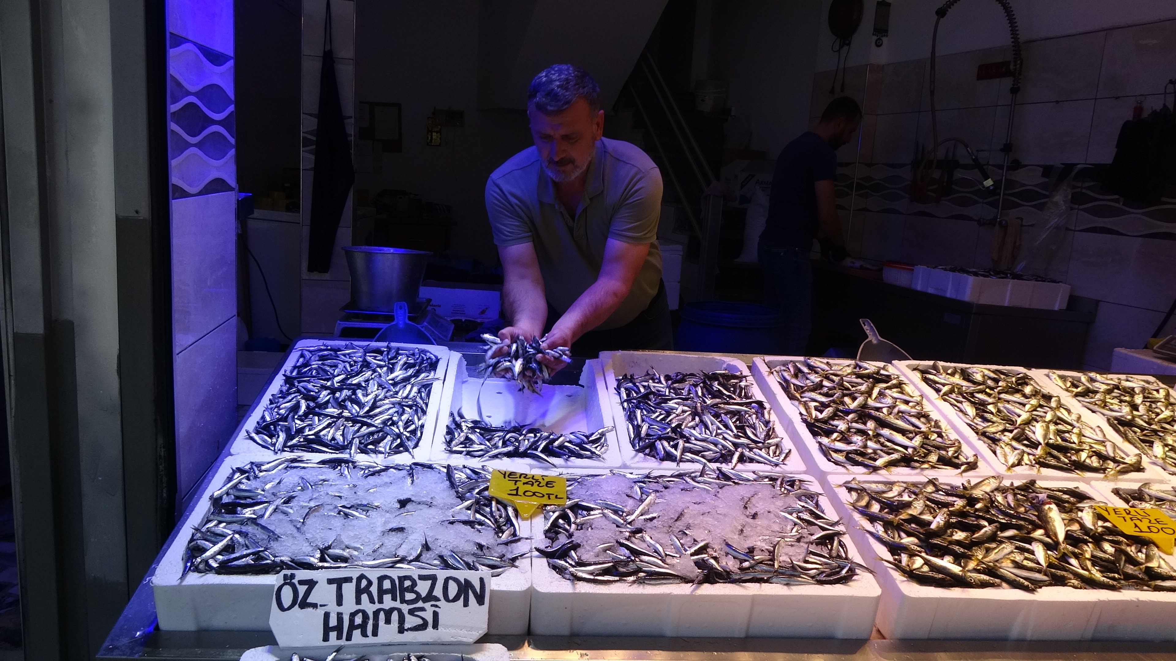 Balık Avı Bollaştı, Hamsi 100 Tl'ye Kadar Düştü 22