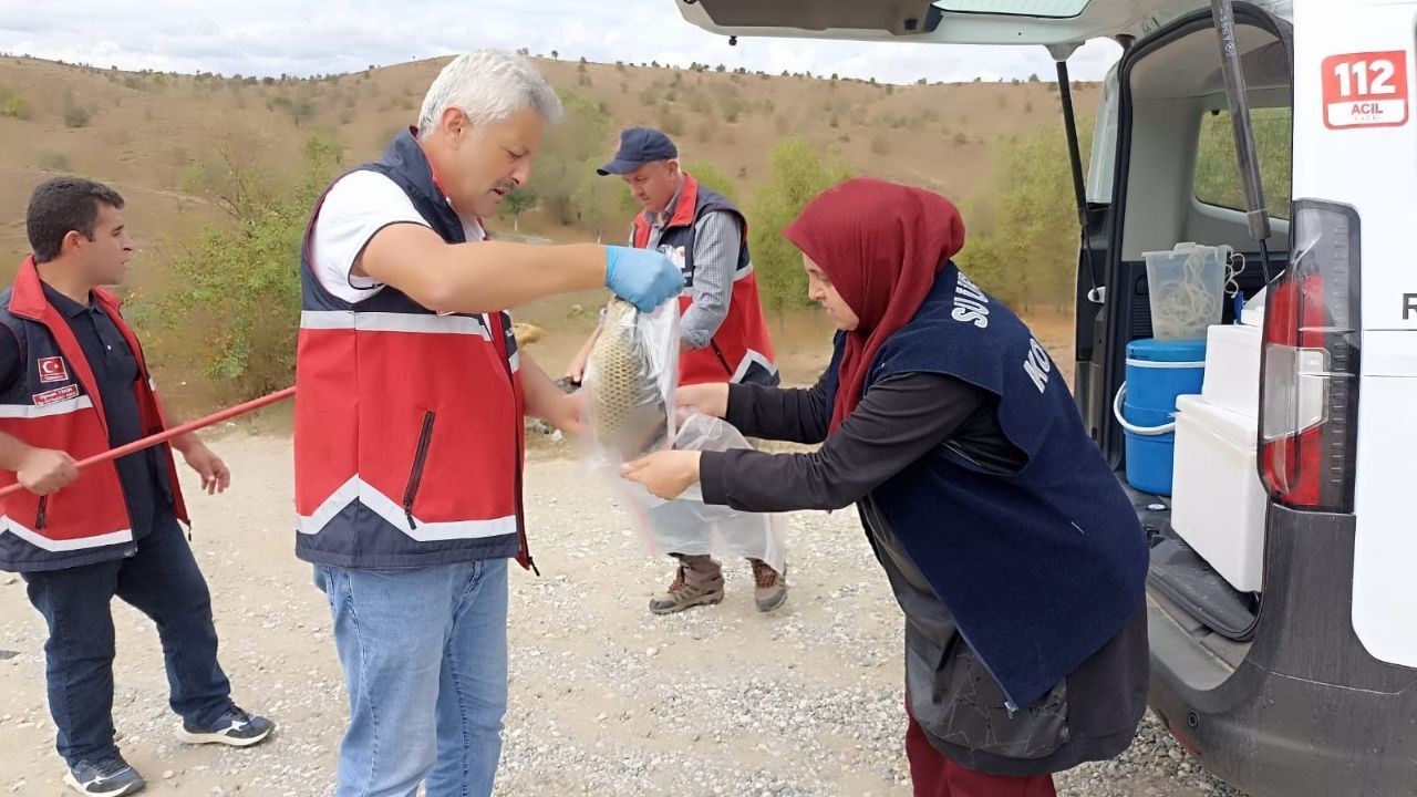 Balık Ölümü (1)