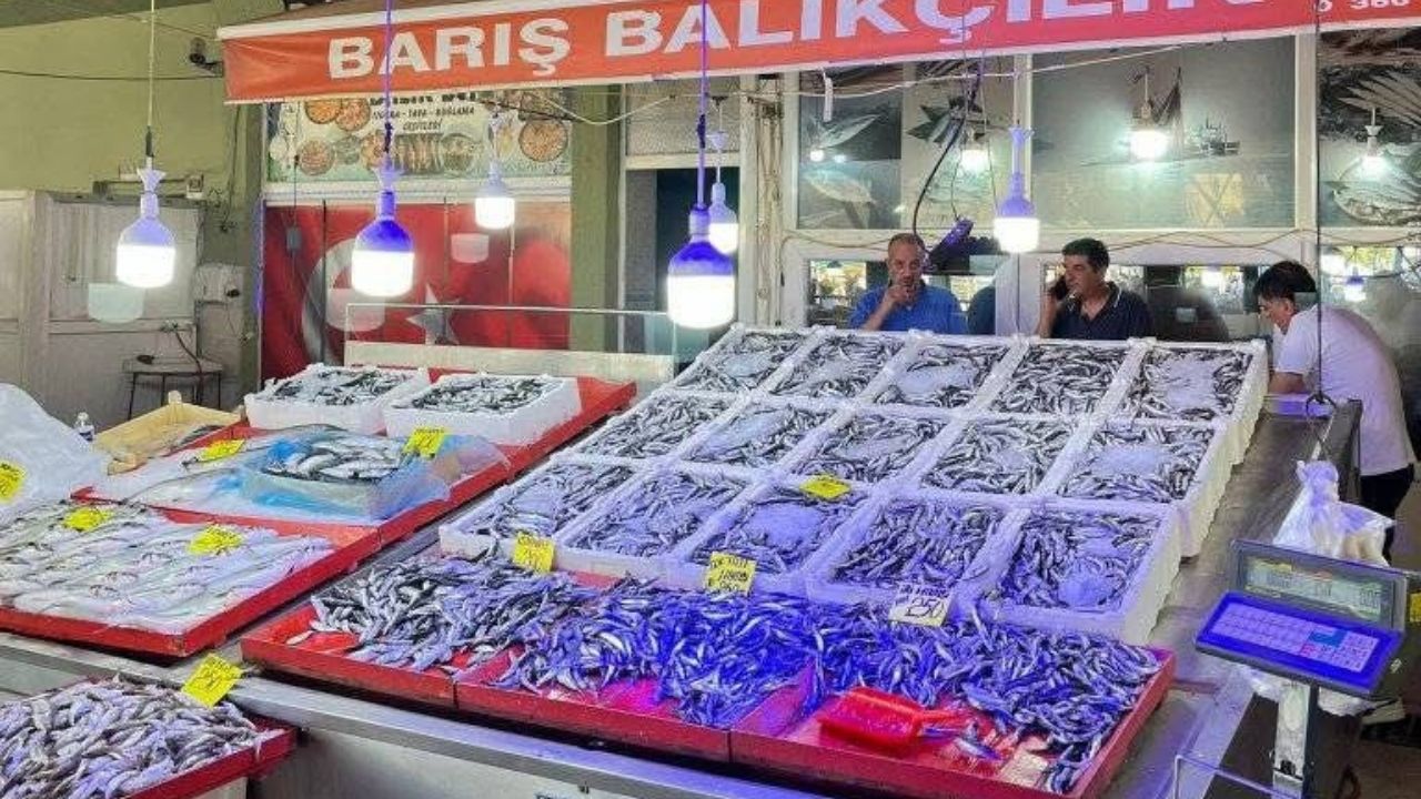 Balık Sezonu Açıldı Taşköprü’de Tezgahlar Çeşit Çeşit Balıklarla Doldu (1)