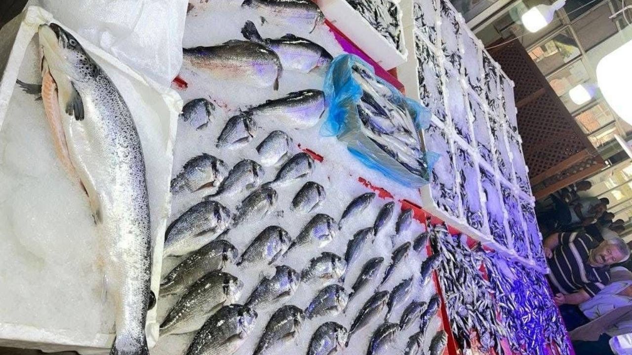 Balık Sezonu Açıldı Taşköprü’de Tezgahlar Çeşit Çeşit Balıklarla Doldu (3)