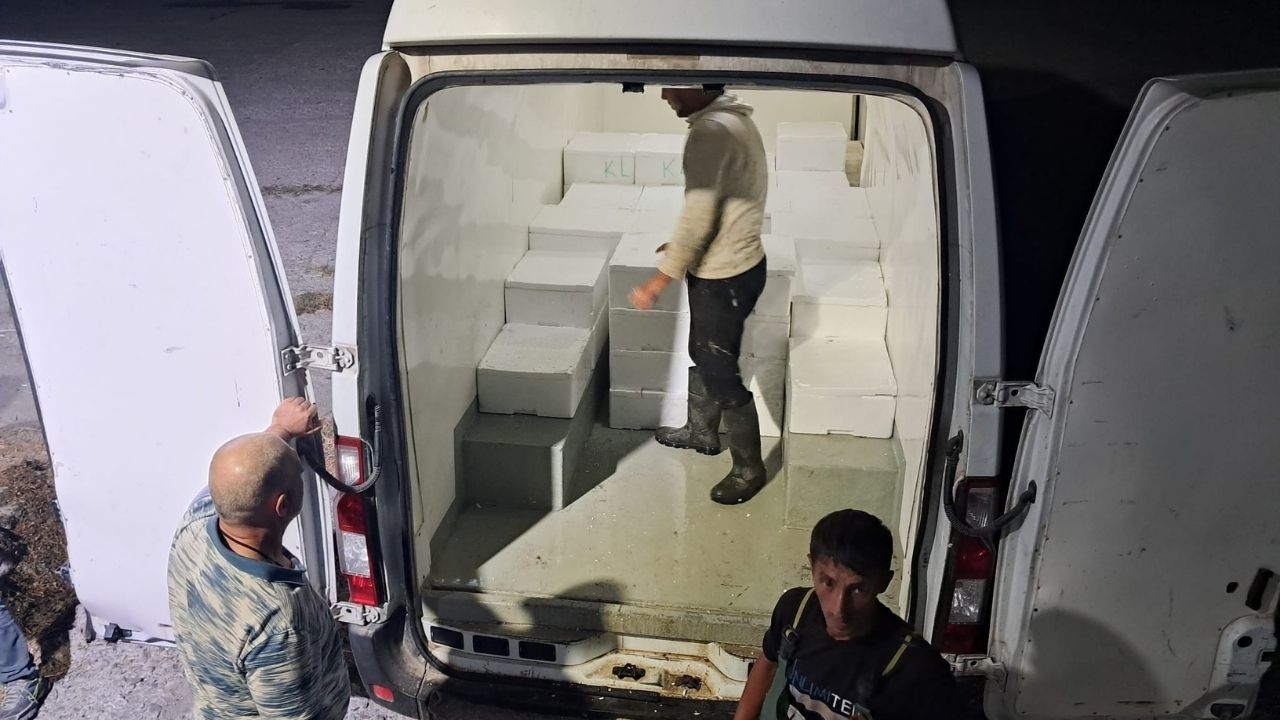 Çatalzeytin Denetim (2)-1