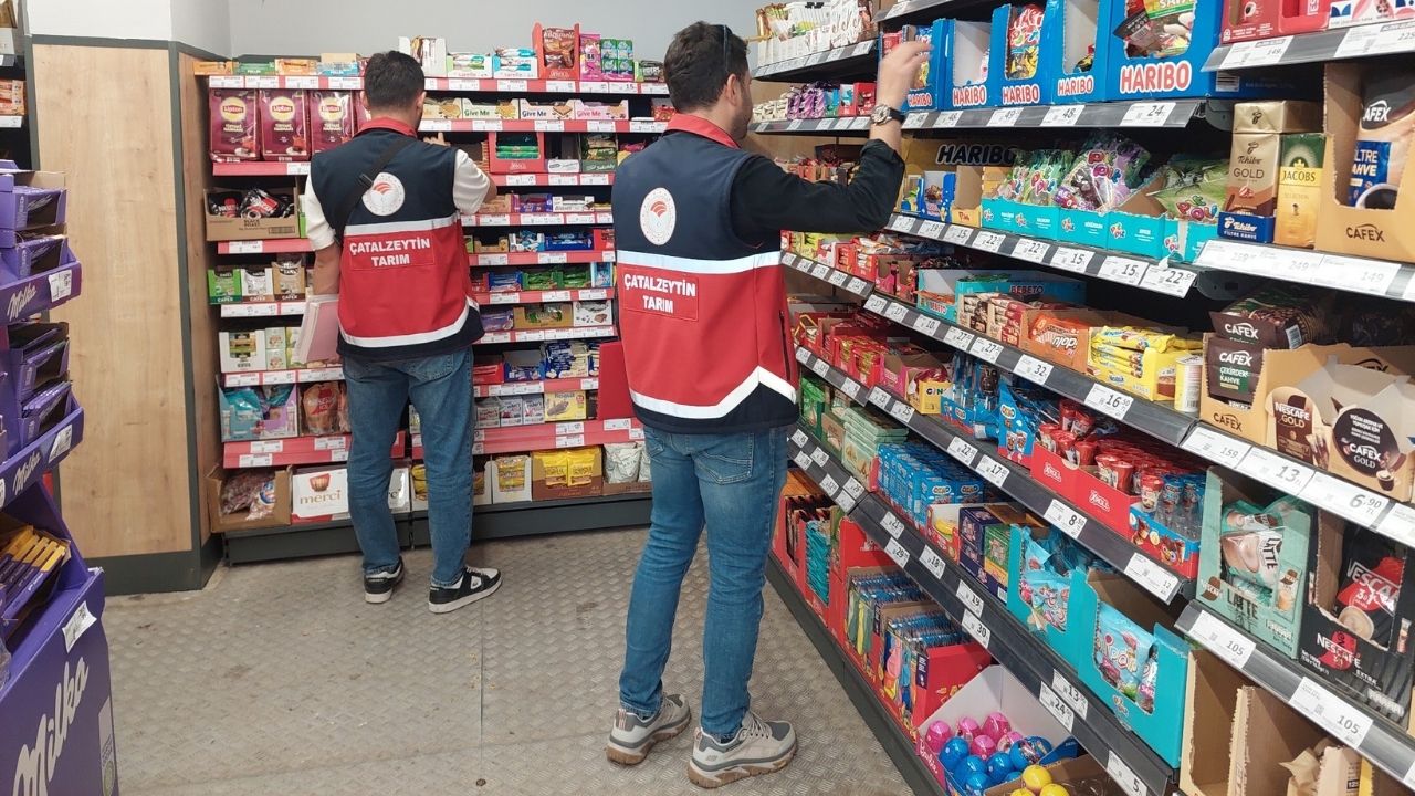 Çatalzeytin Denetim (2)-2