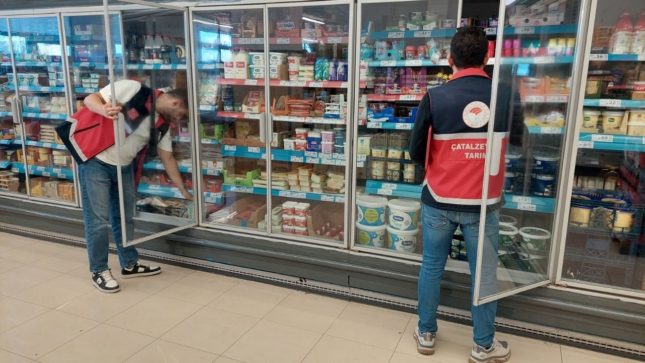 Çatalzeytin Denetim (3)-2