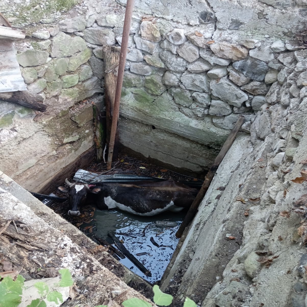 Çorum Inek Kuyu Dodurga (2)