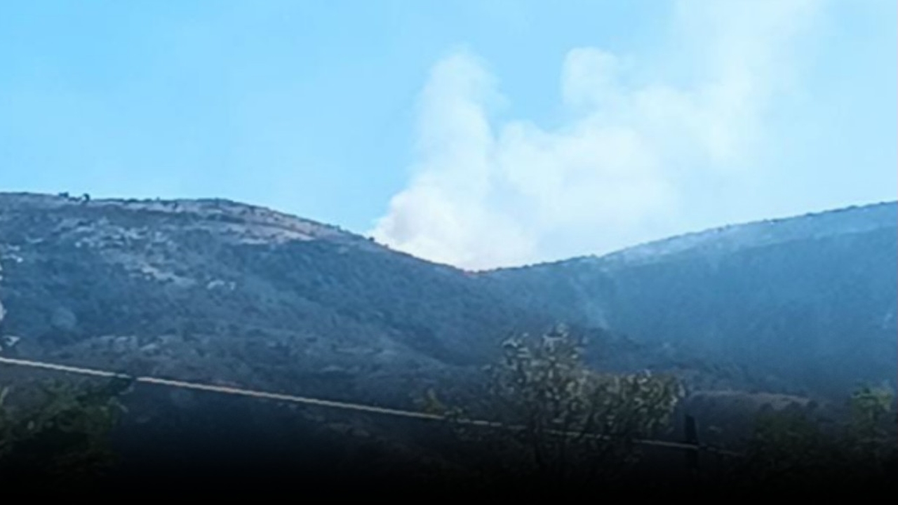 Ilgaz Orman Yangını
