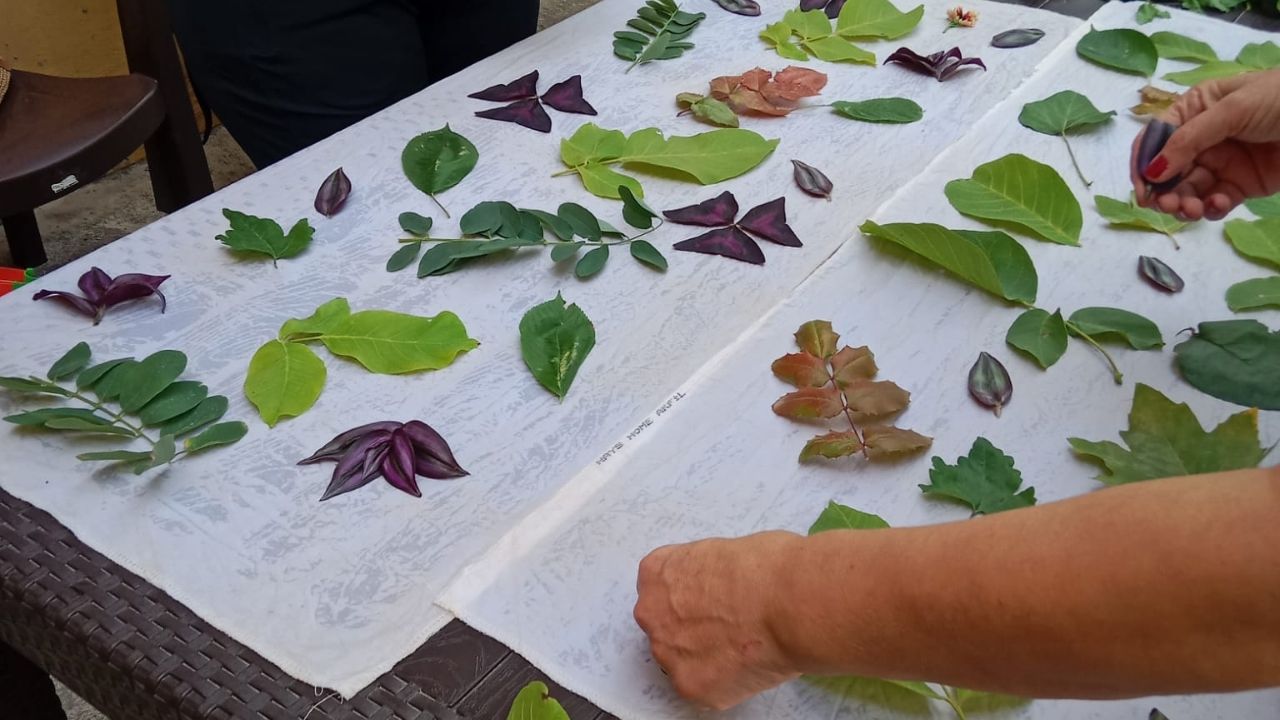 Kadın Emeği Ve Doğa Dostu Sanat Kastamonu’da Bir Araya Geldi (2)