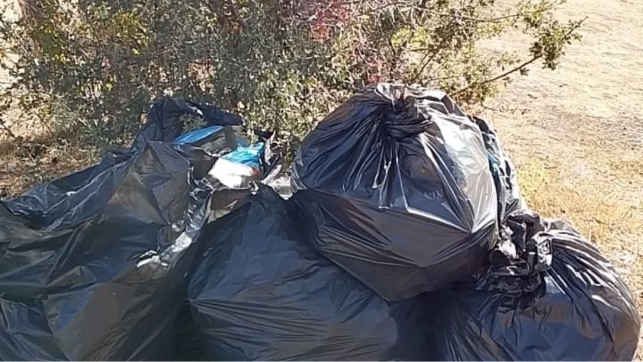 Kamp Için Geldiler, Kastamonu’daki Göleti Çöplerden Arındırdılar (4)