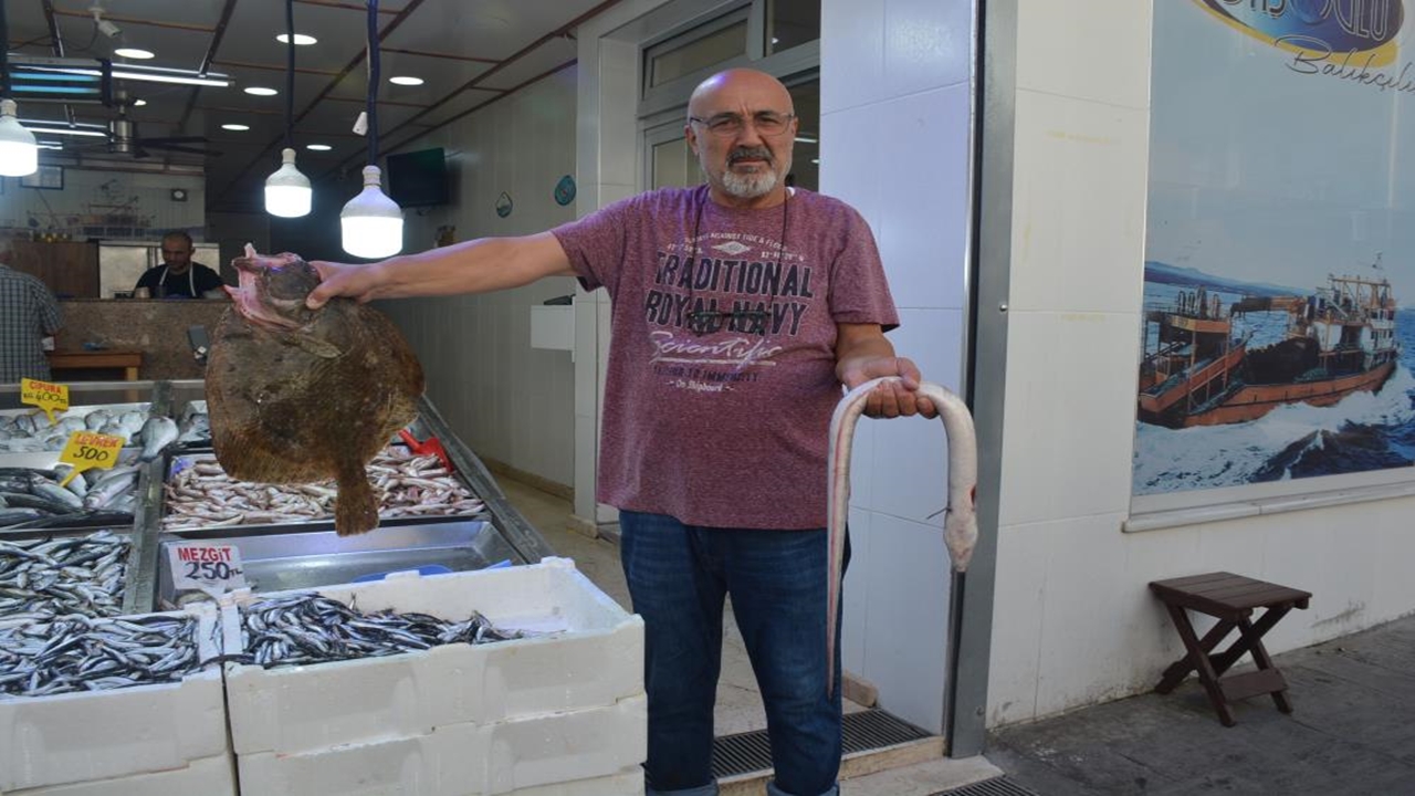 Karadeniz Yılan Balığı (1)