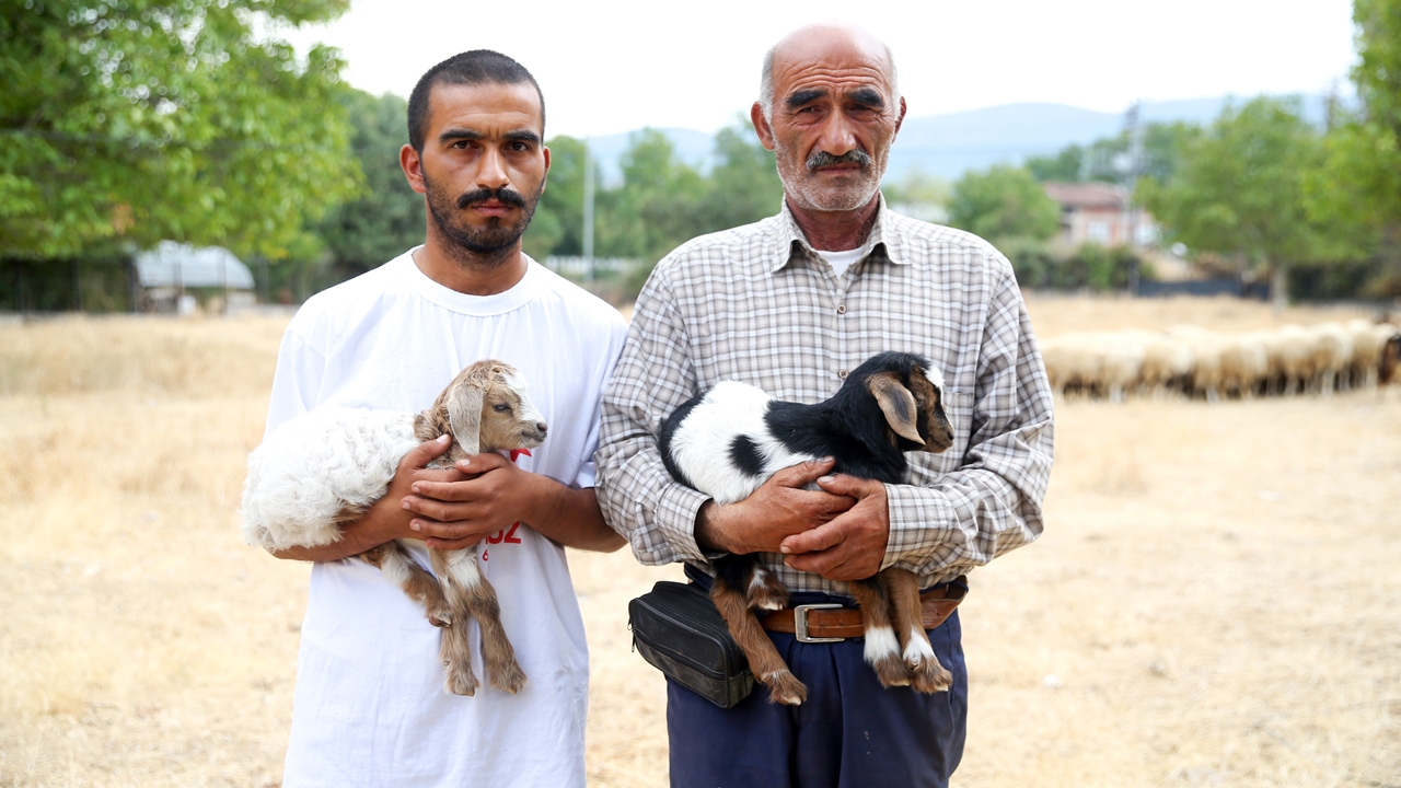 Kastamonu Araç Oğluk Taşıma (10)