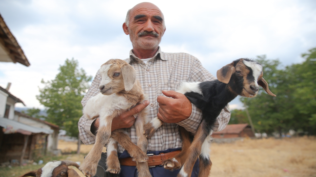 Kastamonu Araç Oğluk Taşıma (6)