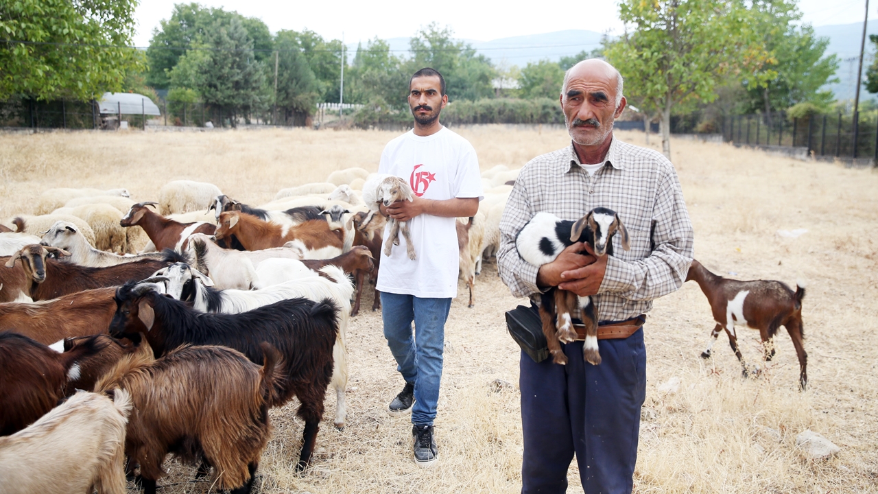 Kastamonu Araç Oğluk Taşıma (9)