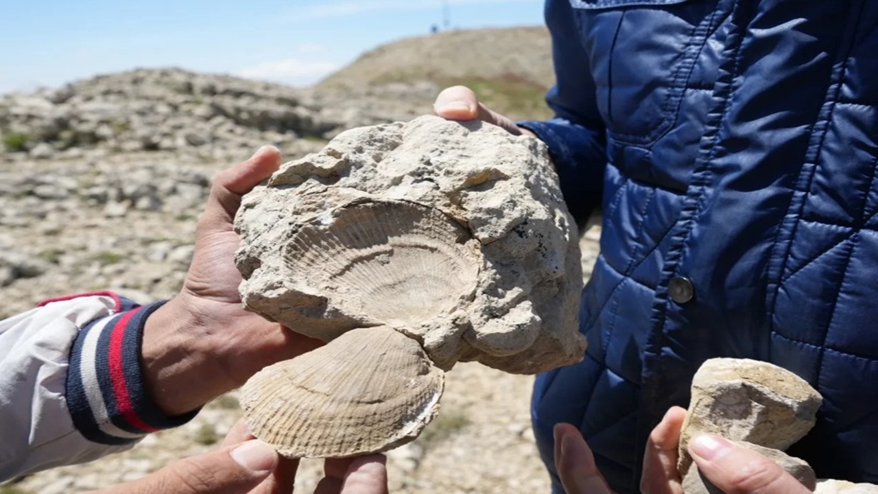 Kastamonu Çankırı Ilgaz Dağı Deniz Dibi (3)