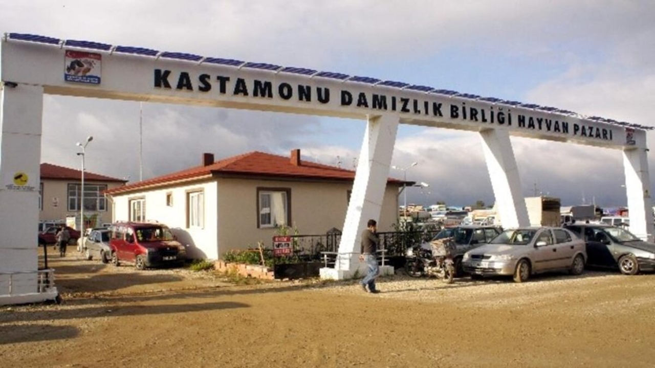 Kastamonu Hayvan Pazarı Damızlık Sığır Birliği
